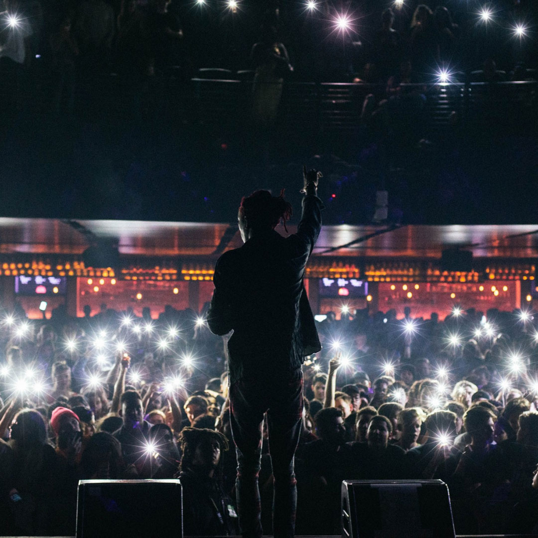 The Novo concert photo